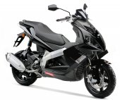 2007 Derbi GP1 250 photo